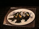Immortal - Battles In The North PicLP Rare