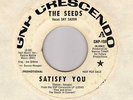 Fuzz garage THE SEEDS Satisfy You   HEAR