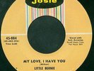 Teen DooWop 45 Little Bernie and Blazers JOSIE 884 HEAR