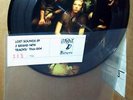 rare 1/750 LOST SOUNDS w/ JAY REATARD punk PICTURE DISC