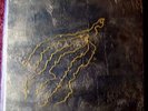 SACCHI  EXPERIMENTAL ELECTRONIC LTD 60 COPIES ONLY RARE