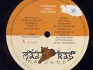 Spicy Dread Mantra Dub RARE Swiss digidub 12