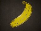 Velvet Underground Everything You've Ever Heard About