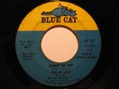 Northern Soul 45 AD LIBS Johnny My Boy BLUE CAT HEAR