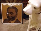 Rare Muddy Waters 11 LP Box- The Chess Box- Japan Press