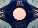 Northern Soul 45 GENE REDDING I Need Your...BELL HEAR
