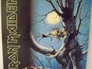 Iron Maiden Fear of the Dark heavy metal vinyl 2 LP