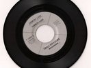 GARRETT LUND Country Livin 45 TRALFAMADORE pre-LP psych