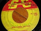 Private 1965 WI Rock 45 - THE SHANDELLS - Studio City
