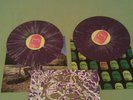 Portugal The Man - Censored Colors (purple/green)