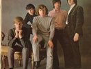 THEM Angry Young Them 1965 mono or. lp beat/garage