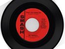 NORTHERN SOUL The Tempests WHAT YOU GONNA DO 45