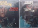 DIETER REITH boogie funk TENDER AGGRESSION 1 *HEAR*
