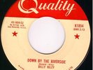 Rockabilly 45-BILLY RILEY-No Name Girl (Canada Quality