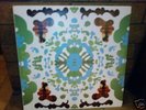 BLACK DICE Beaches & Canyons 2 LP 2LP Animal Collective