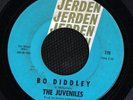 GARAGE FUZZ GUITAR 45 JUVENILES BO DIDDLEY JERDEN HEAR