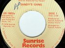 rare Soul Funk 45 SANDY'S GANG on SUNRISE Listen