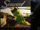 Seaweed - Spanaway (1995 USA Grunge Punk LP)