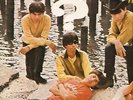 LP- QUESTION MARK & THE MYSTERIANS- 96 TEARS- N. MINT