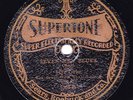 1929 Sallie Taylor Supertone 9365 78 rpm blues record