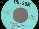 WILLIE BROWN … SOUL 45  Virginia label,  Uptempo dancer