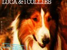 LUCA E I COLLIES 45 RPM ITALY SIGLA TV SEI FORTE LASSIE