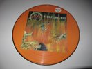SLAYER Hell Awaits picture disc vinyl LP numbered RAZOR