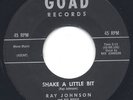LISTEN - Rare R&B 45 - Ray Johnson - Shake A Little Bit