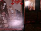 RARE Mayhem LP Darkthrone Burzum Morbid Gorgoroth black