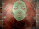 ANNETTE PEACOCK I'm The One PSYCH MOOG AVANT JAZZ RCA