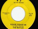 The Beatles 45 VJ VEE JAY RECORDS PLEASE PLEASE ME #581