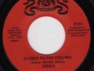 Disco Funk * ZEBRA * Closer To The Feeling * LISTEN