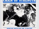 CHAIN OF STRENGTH, What Holds Us Apart 7'' SXE, NM