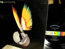 CLEAN 1971  HELP   Second Helping HARD BLISTERING Psych