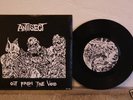 antisect 7