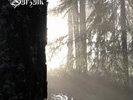 BURZUM - Belus - New 2-LP blanc / white
