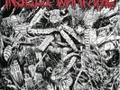 INSECT WARFARE - A.W.W.G 7