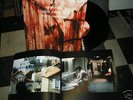 TROUBLE EVERY DAY TINDERSTICKS Erotic LP VINCENT GALLO