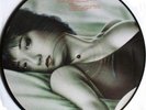 AC/DC rare Picture Disc Vinyl LP Budapest * MODEL PIC *