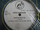 Terri Gonzalez - How Good It Is (LISTEN) WL Promo