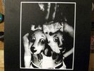 COLD CAVE An Understanding 7