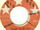 DAVID MCINTOSH  Trying To Be Nice  on Big Three LISTEN