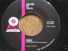 '68 MN garage  LEAVES OF GRASS  Crabs  45 m-  Maad