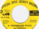 The Cherokees 1965 Mod/Beat 45 on MGM   Hear it