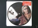 Nirvana /Jesus Lizard - Australian Split 7
