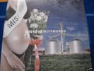 LUCIANO LIGABUE RARO 2 LP MISS MONDO PROMO MAI ASCOLTAT