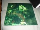 DEAD MEADOW Feathers 2lp  out of print