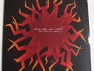 Sunny Day Real Estate 
