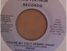 IMAGE - YOU'RE MY ONLY DESIRE - RARE MODERN SOUL BOOGIE
