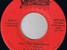 G.C. CAMERON - WAIT TILL TOMORROW  - RARE SOUL BOOGIE